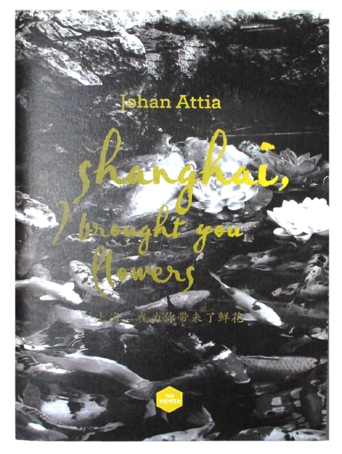 http://johan-attia.com/files/gimgs/th-15_Shanghai.jpg