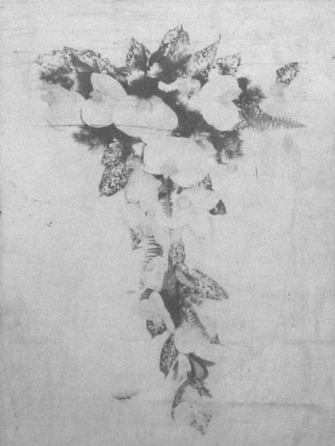 http://johan-attia.com/files/gimgs/th-5_15.jpg