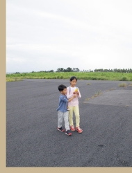 Jeju's tangerine