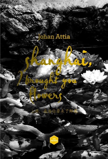 https://johan-attia.com/files/gimgs/th-15_0.jpg